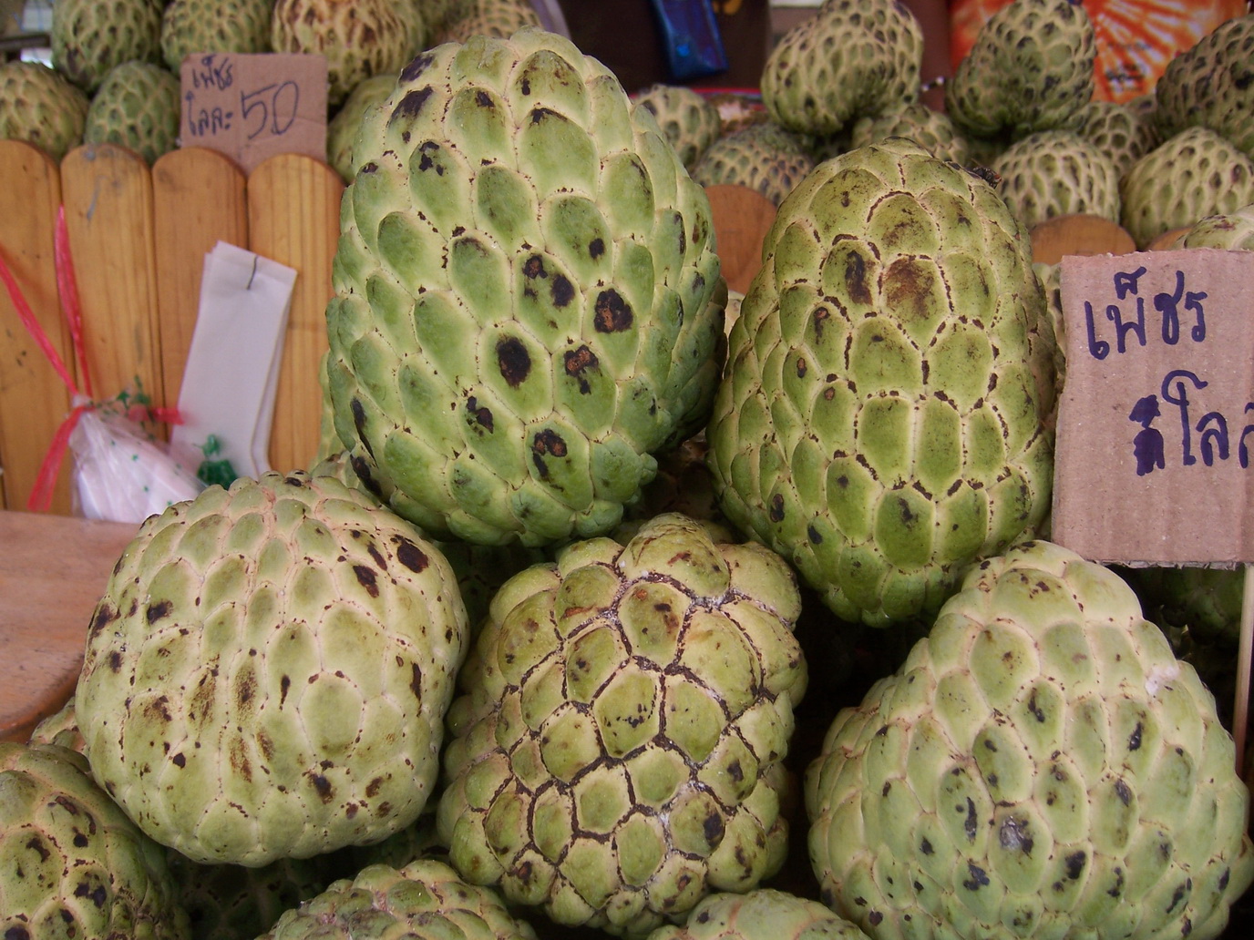 ททท.โคราช ขอเชิญทุกท่านร่วมงานน้อยหน่าของดีเมืองปากช่องและงานกาชาด ประจำปี ๒๕๕๕